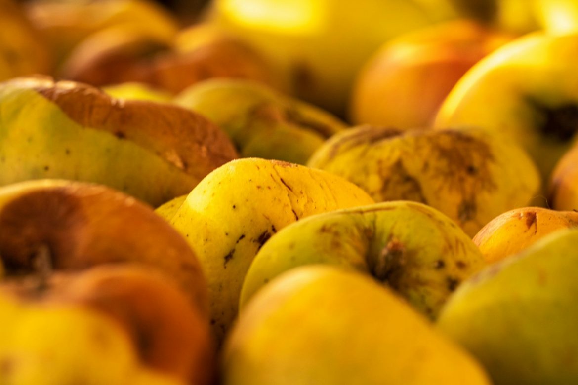 El níspero: una fruta de primavera con sabor único y mucha tradición