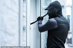 Asyra exige un cambio de ley de emergencia, pidiendo el derecho a usar la energía para proteger sus casas, entonces, ¿es esta una buena idea?