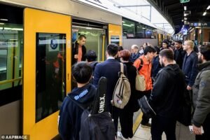 Los pasajeros advirtieron por dar tiempo extra debido a grandes retrasos en el tren en Sydney debido a un error de emergencia