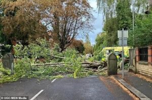 Mujer, en sus cuarenta años, murió después de golpear las ramas de árboles ‘enormes’ extendidas en el clima ventoso