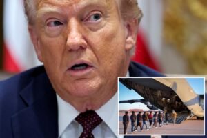 Los jueces federales bloquearon el plan de deportación extendido de Trump con procesos apropiados para inmigrantes ilegales