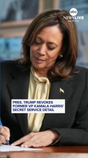 Ver: El presidente Trump retiró los detalles del Servicio Secreto de Kamala Harris