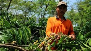Así que la inspiración a través de las cooperativas de los agricultores