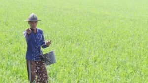 Hay una sorpresa de Pupuk Cultim