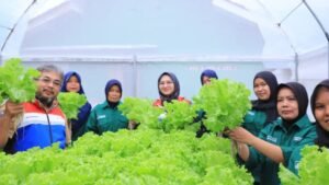 Partmana Protección alimentaria, Aliyi Energía limpia Fomenta 25 hectáreas de tierras agrícolas sostenibles propiedad de residentes de Kalizaran