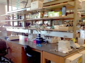 Los investigadores de UW Biginiring ayudan a crear una hoja de ruta para sacar el reclutamiento de la facultad