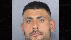 El entrenador de los Miami Dolphins, Ryan Crowe, arrestado por violencia doméstica