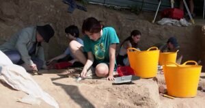 Los arqueólogos de Georgia son una mandíbula humana única de 1.8 millones de años