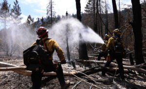 Una buena semana para Cal Fire, una mala semana para Stephen Cloebake