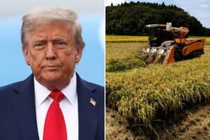 Trump afirma Japón por una nueva discusión comercial de arrebato en los Estados Unidos para Japón, dice Nikkey