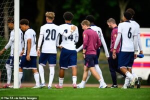 Los jóvenes leones en el partido de U17 de Inglaterra han sido suspendidos durante cincuenta minutos en afirmaciones de que los oponentes raciales abusaron de los leones jóvenes