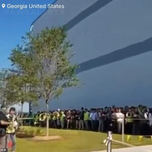 Los agentes fronterizos atrapan aproximadamente la mitad de todo el personal de la planta de Hyundai en una de las mayores expediciones de migración de Trump