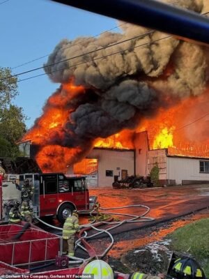 El desinfectante para manos se filtra al problemático almacén de Nueva York