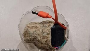 El escuadrón de bombas se encuentra en una mezquita en ‘ítem sospechoso’ en una mezquita en Urundel, a medida que se acusa a las personas