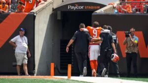 Césped a la llave; Joe Bureau, ¿qué significará esto para los bengalíes?