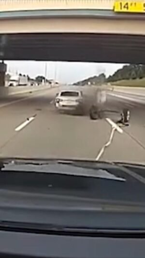 Vista: la policía usa el dispositivo Grappler para detener a los sospechosos robados en la autopista de Michigan