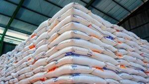 BULOG Asegúrese de que se mantenga el estándar del arroz nacional