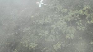 Mimica fue asesinada con 4 pasajeros de helicóptero Piloto asesinado