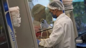 Las restricciones de carne explotadas por laboratorio en Texas son efectivas