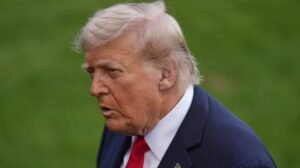 Trump: las organizaciones deben informar sobre la base de 6 meses, no trimestralmente