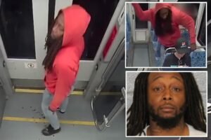 La hoja de rap no estaba libre del sospechoso del asesinato de Iriana Jarutska en la fianza sin efectivo