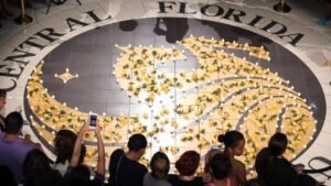 Perder el acceso a la educación superior sin estatus legal