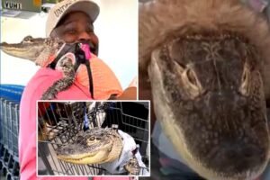La propietaria de la mascota de Pensilvania, Wesley Silva, aburrida después de la asistencia sensible de Walmart, a pesar de recibir el ‘tratamiento VIP’ en los restaurantes