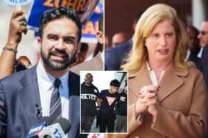 La base de datos de la Comisionada de Policía Jessica Tish Nypd’s Gang Base elogia que Mamdani está ansioso por abolir