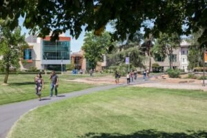 El personal de la universidad baja dice que probablemente buscarán nuevos empleos en 2025