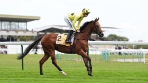 Heidock: Bow Eco Eye Classic Glory después de la huelga después de las noticias de Strike Racing