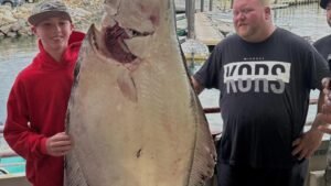 New Hampshire Boy, 13, carretes halibate de 177 libras cuando Def Sea Fishing puede ser un récord mundial