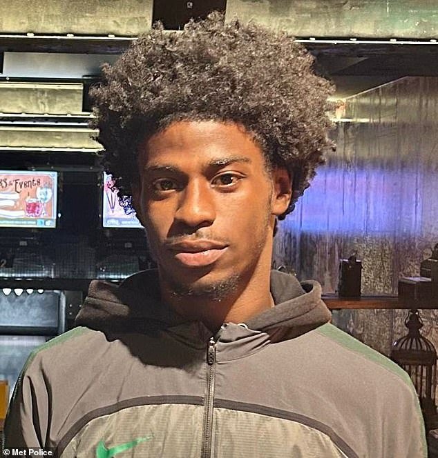 103310675-15226839-Rinneau_Perrineau_pictured_died_after_being_stabbed_on_Lavender_-m-18_17614106924.jpeg