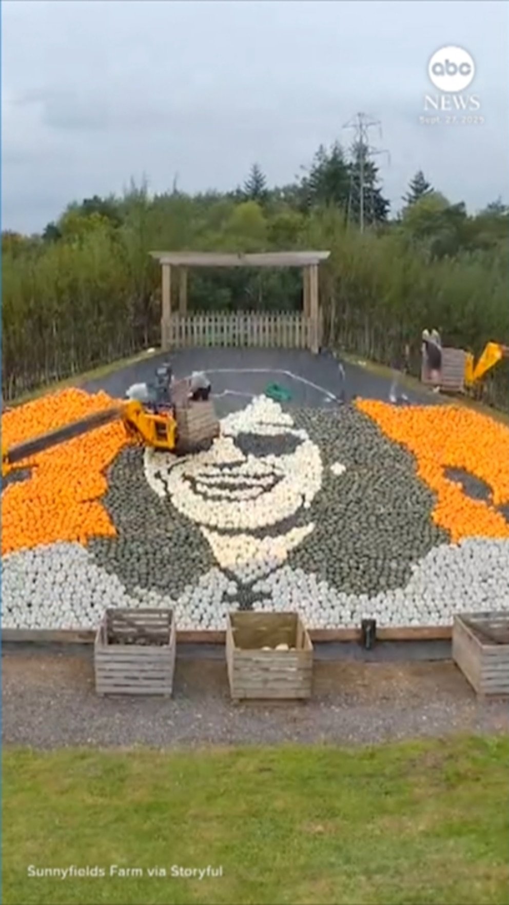 MIRAR: Ozzy Osbourne honrado con un mural hecho de cientos de calabazas