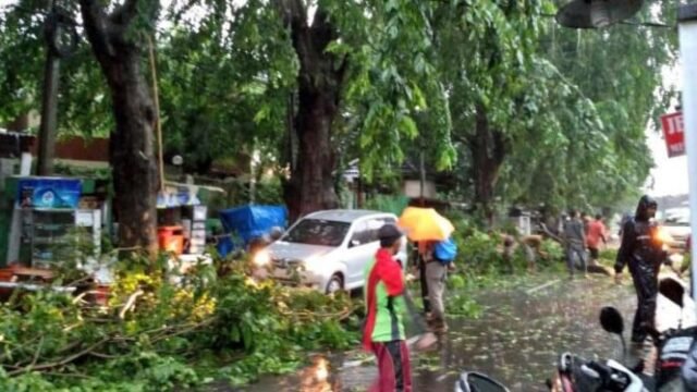 58da386f23088-pohon-tumbang-di-jalan-tebet-utara-jakarta-selatan_665_374.jpg