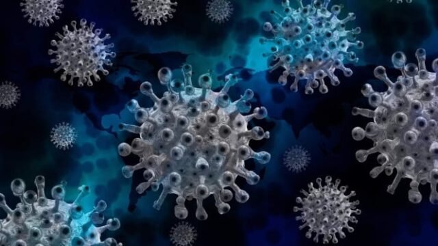 61a089d8780de-ilustrasi-covid-19-virus-corona_665_374.jpg