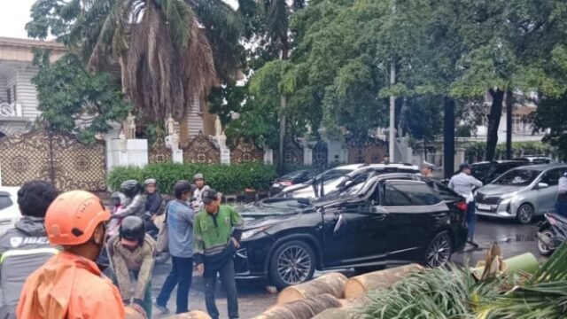 68fed9a5016e4-pohon-tumbang-timpa-lexus-buat-1-orang-tewas_665_374.jpg