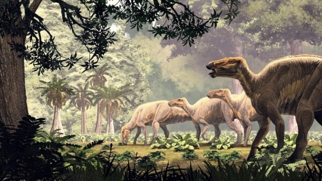 edmontosaurus-annectens-gty-jef-251027_1761590138289_hpMain_16x9.jpg