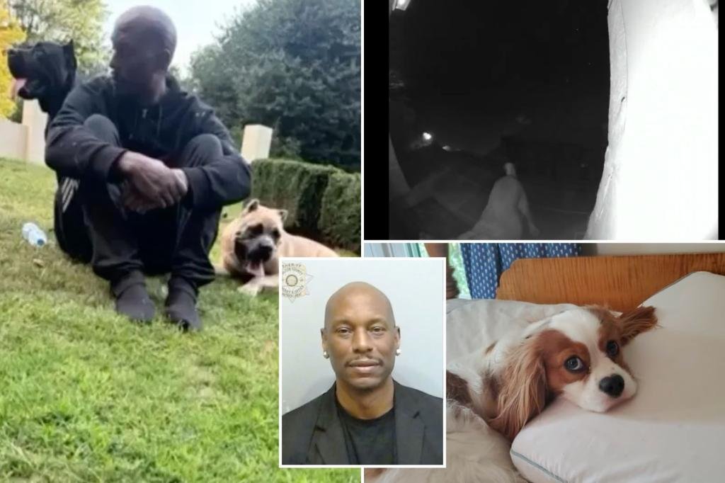 La estrella de ‘Fast and Furious’ Gibson fue arrestado después de que los perros mataron a la caza furtiva de los vecinos fuera de la casa de Georgia