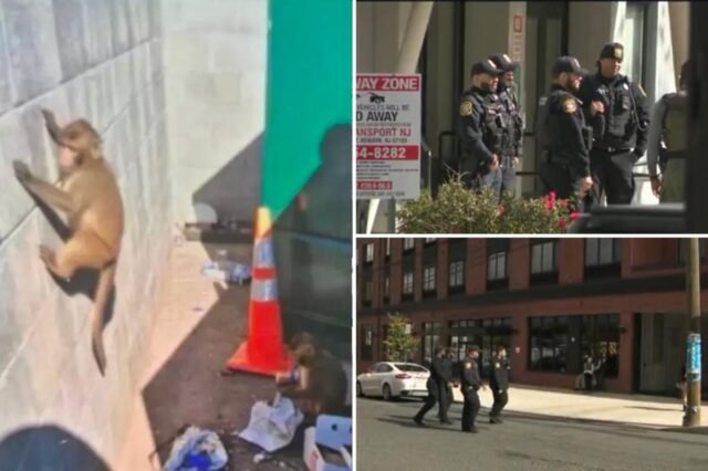 wild-goose-chase-newark-police-114132472.jpg