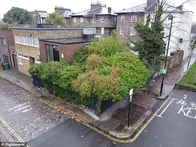 Una casa de tres dormitorios en una caballeriza de Londres, devorada por un seto, ha sido catalogada por casi £1 millón… (¡pero espera hasta ver el interior!)