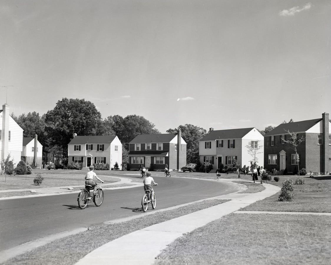 1763173594_0x0.jpg
