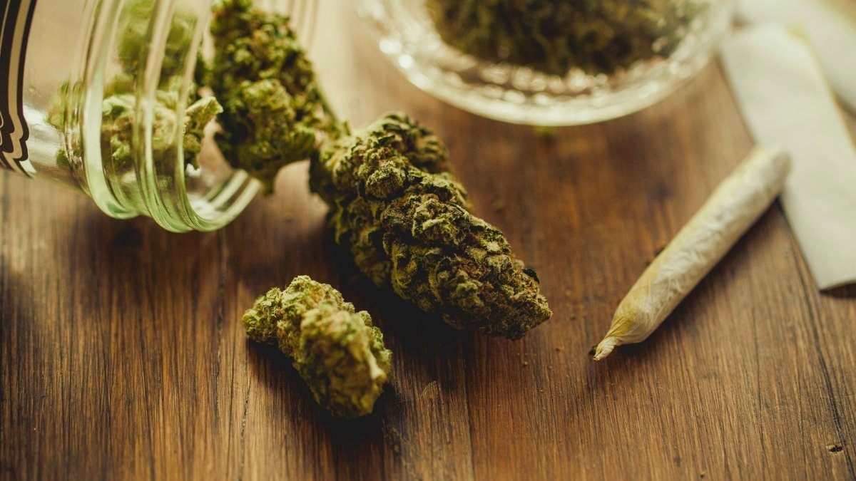 El consumo de cannabis está asociado con cambios epigenéticos, descubren científicos