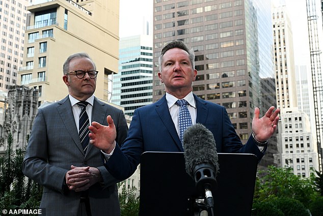 Los contribuyentes australianos, en apuros por una factura multimillonaria después del intento fallido de Chris Bowen para la conferencia climática de la ONU
