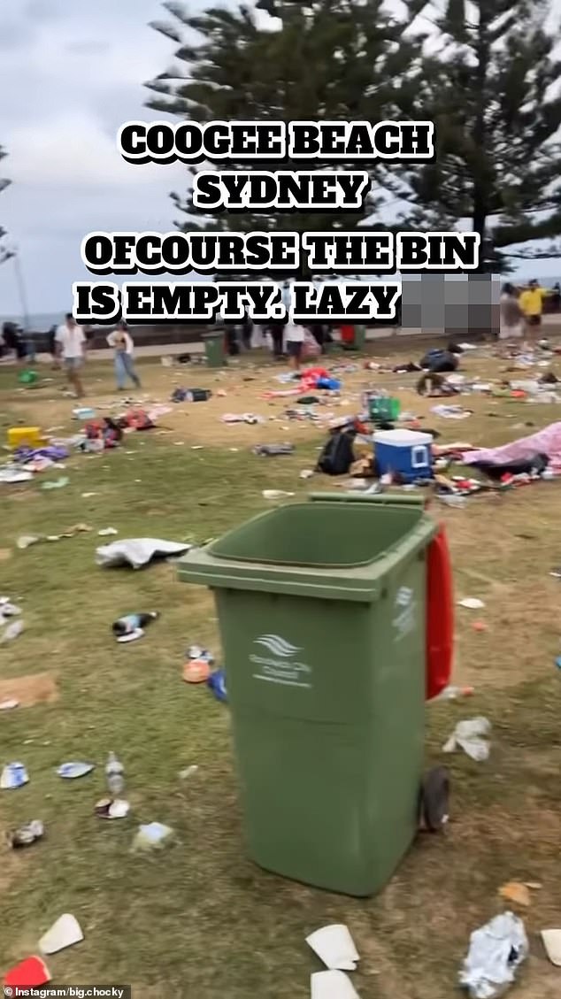 105038383-15415159-The_footage_showed_an_empty_bin_standing_in_the_middle_of_the_la-a-36_17667934494.jpeg