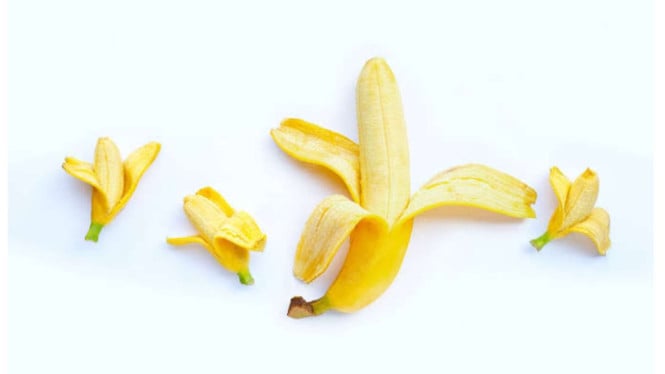 1766345323_63efbd6e60851-ilustrasi-pisang-sebagai-penis_665_374.jpeg