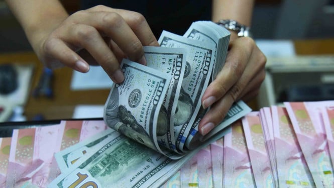 5c9f9b93bfb73-pekerja-menghitung-uang-dollar-amerika-serikat-dan-rupiah-di-sebuah-tempat-penuk_665_3.jpeg
