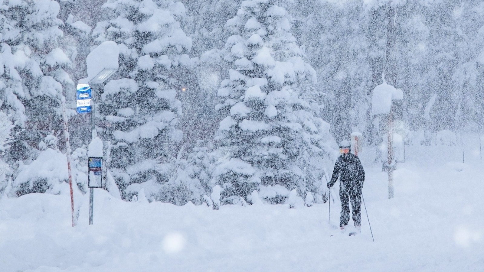 Snow-DB-251225_1766665104216_hpMain_16x9.jpg