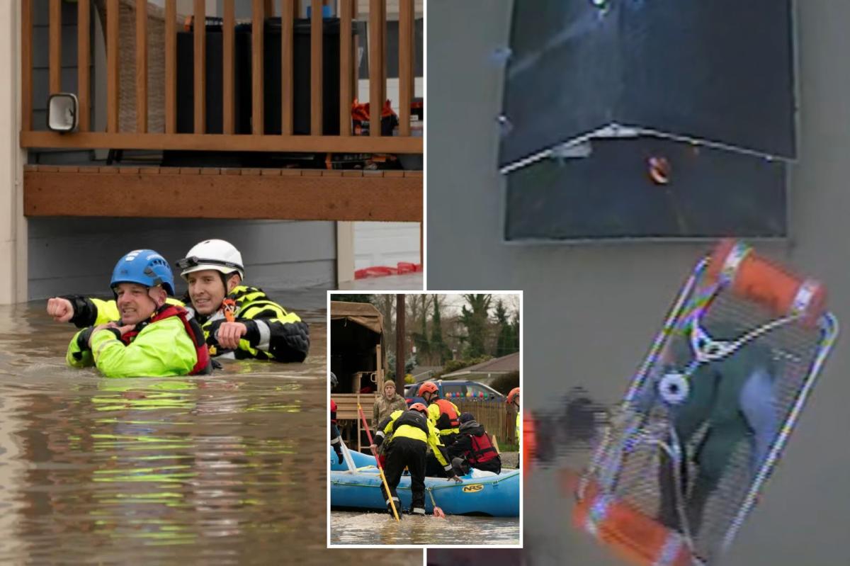 newspress-collage-3a7n7tab4-1765615161079.jpg