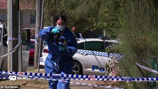 105397509-15451267-Forensic_officers_spent_the_day-a-3_1768029307264.jpg