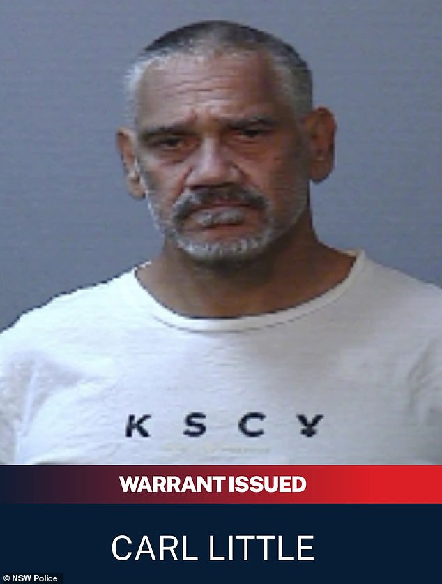 105605447-15473777-Carl_Edward_Little_a_violent_career_criminal_on_parole_for_feroc-m-31_17687134696.jpeg